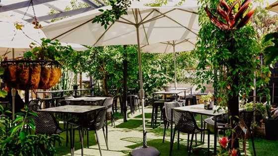 SANG NHƯỢNG QUÁN CAFE SÂN VƯỜN – INGLWOOD, WA