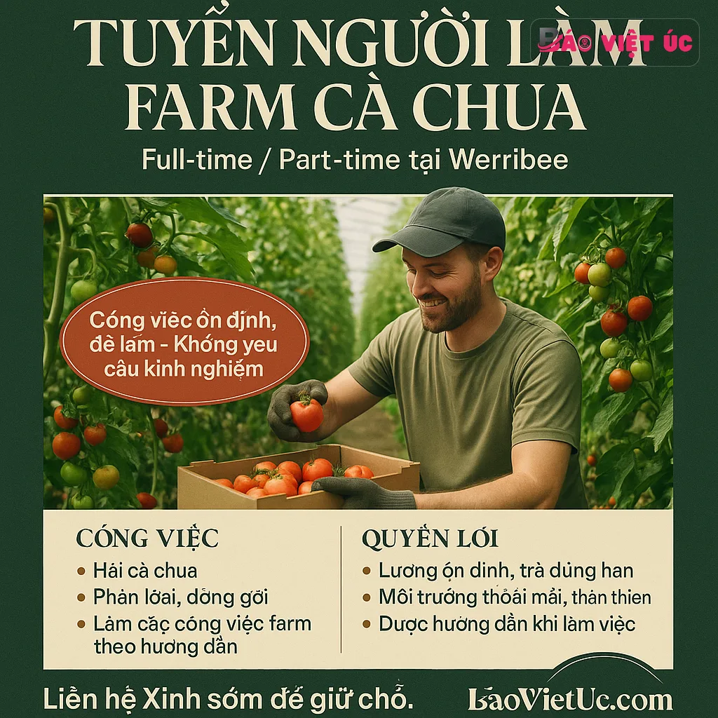 TUYỂN NGƯỜI LÀM FARM CÀ CHUA – WERRIBEE