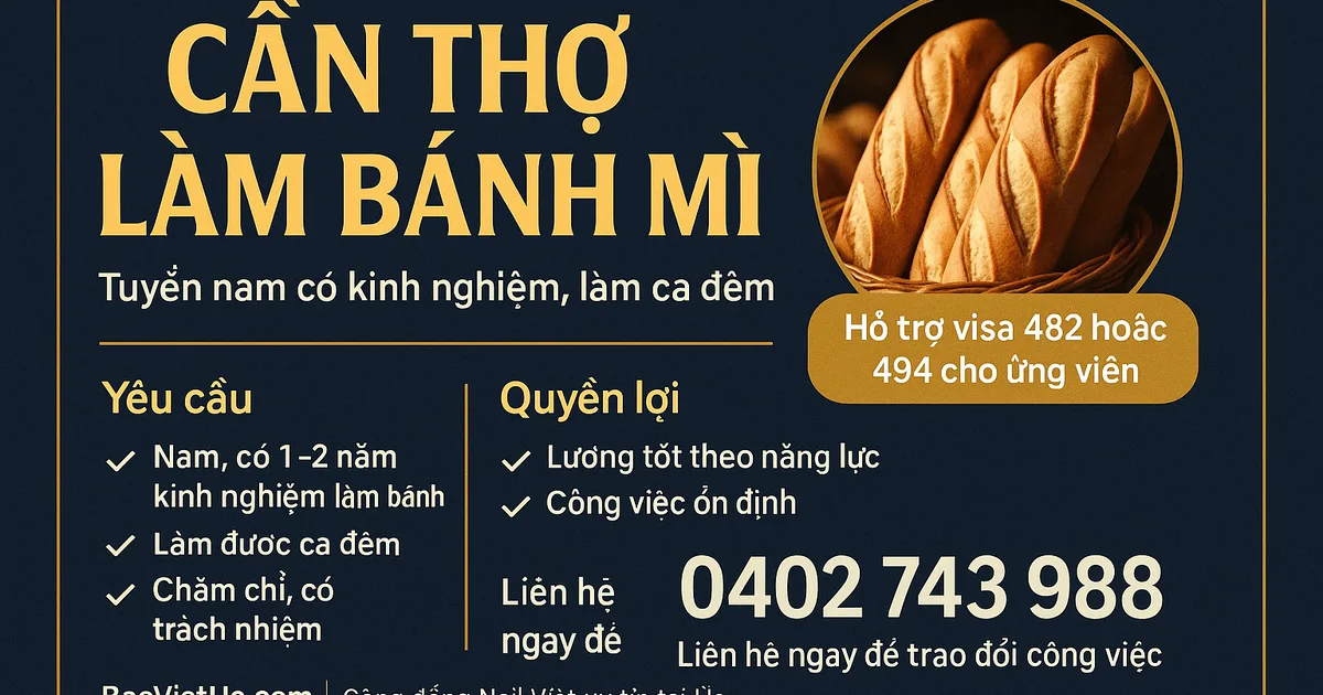 CẦN THỢ LÀM BÁNH MÌ