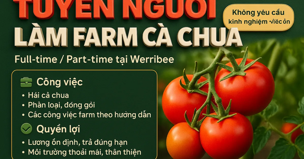 TUYỂN NGƯỜI LÀM FARM CÀ CHUA – WERRIBEE